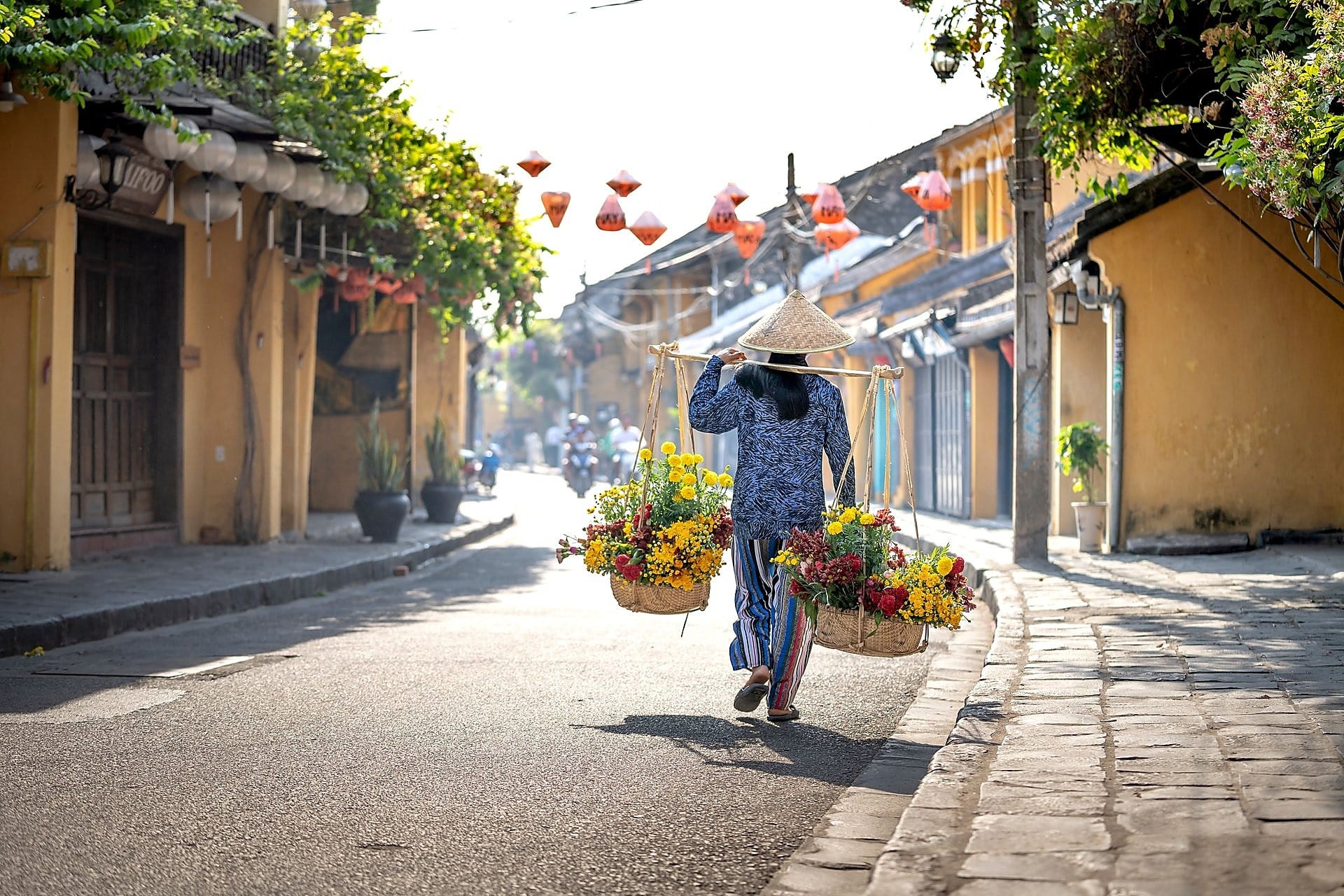 Ninh Bình Du Lịch Sạch: Hành Trình Xanh Giữa Lòng Di Sản